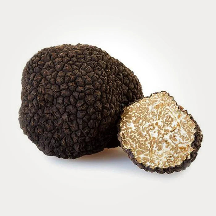 Il Tartufo Nero Estivo