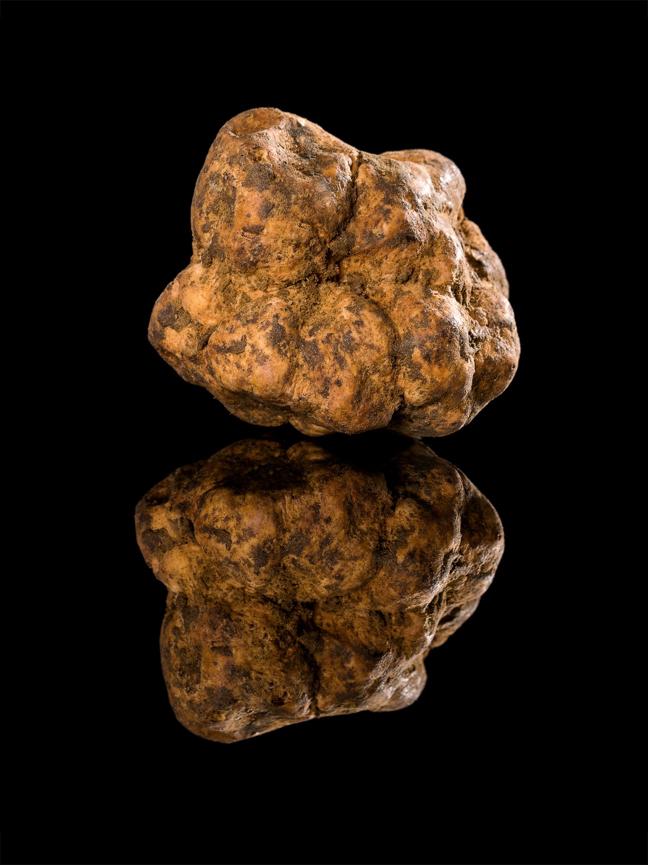 La storia del tartufo